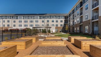 Community Gardening