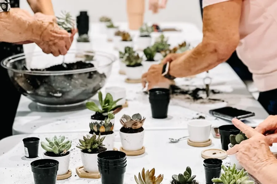 Acclaim at the Hill senior apartment homes with People potting small succulents at a table covered with plants, soil, and empty pots.